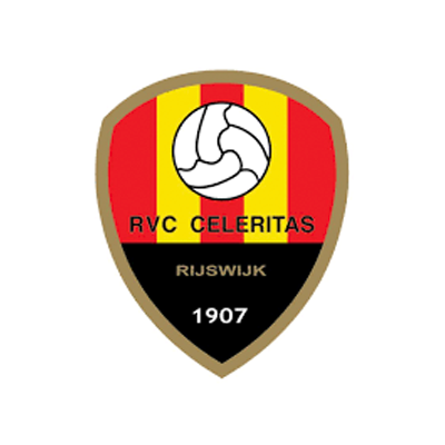Ballenactie